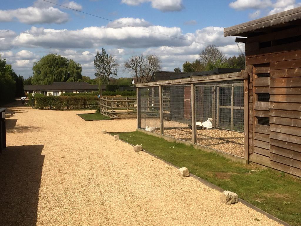 Willow Court Farm Studio West & Petting Farm, 8 Mins To Legoland & Windsor, 15 Mins To Lapland Uk Экстерьер фото